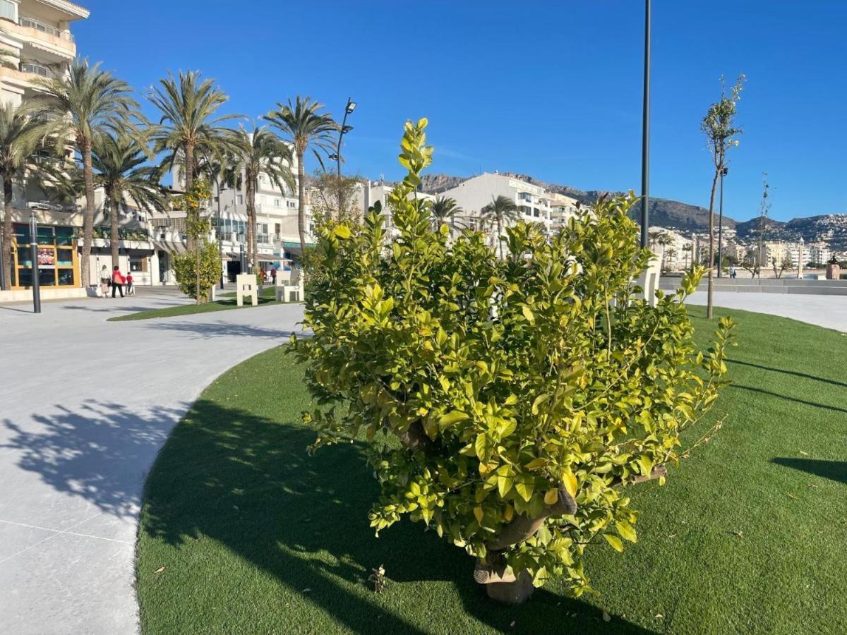 Апартаменты Altea Group Experience Экстерьер фото